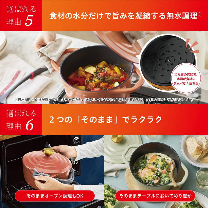 T-Fal Cast Iron Cocotte Pot 20Cm Sage Green - Non-Stick IH & Gas Compatible-Kiichin - The #1 Place for Japanese Goods in Your Hand!