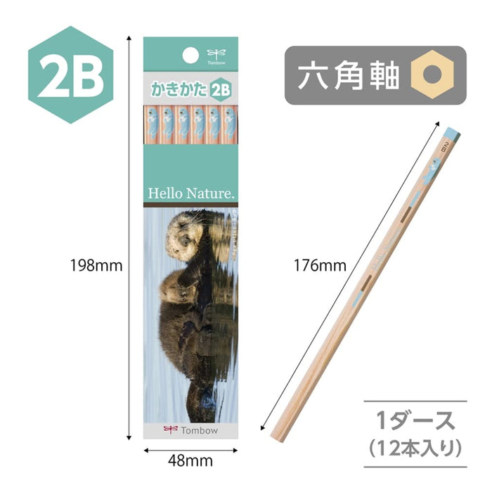 Tombow Hello Nature 2B 海獺設計繪圖鉛筆 12 支裝