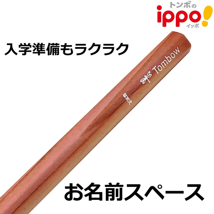 Tombow Ippo Kakikata 自然 B 铅笔 KB-KNN04-B 适合专业人士使用