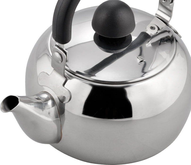 Wahei Freiz Sensha 0.5L Round Teapot Sr9728 Eco-Friendly Design-Kiichin - The #1 Place for Japanese Goods in Your Hand!