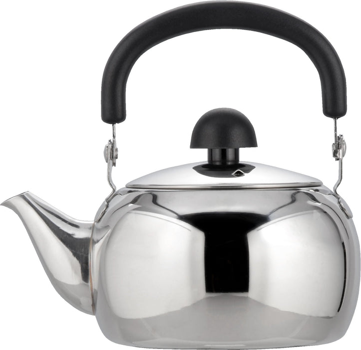 Wahei Freiz Sensha 0.5L Round Teapot Sr9728 Eco-Friendly Design-Kiichin - The #1 Place for Japanese Goods in Your Hand!
