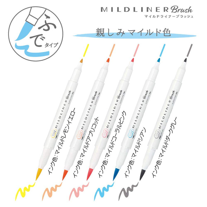 Zebra Mild Liner 高光腮红 夏日绿 10 件套