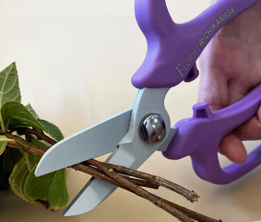 Chikamasa Florist Deluxe Violet Flower Shears MF-9000V Professional Pruning Scissors