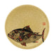 Fukui Craft ABS Sushi Plate 150 GP Chiyogami Tuna Design