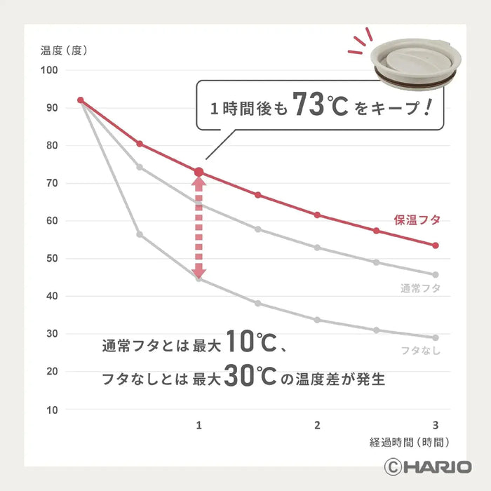 Hario Tea Coffee Maker Mug 300ml Greige Thermal Lid No Microwave