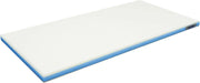Hasegawa Polyethylene Lightweight Storage Bag - Blue 46 X 26cm - 4994808020123