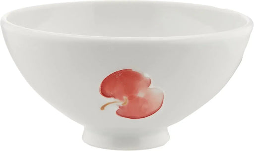Nishitomi Imari Ware Tokushichi Kiln Red Apple Tea Set