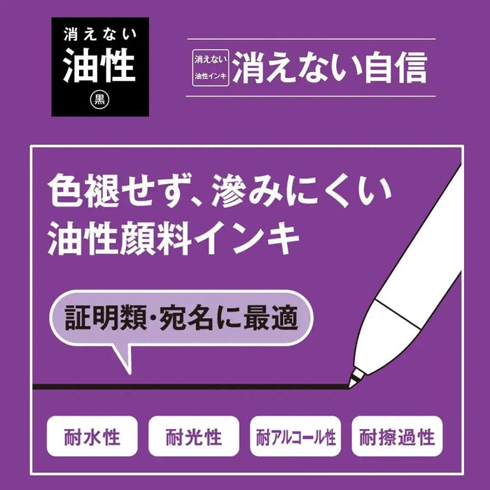 Pilot FriXion Ball Switch Erasable Pen
