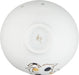 Seikai Toki Children's Rice Bowl Ceramic Tableware