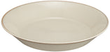 Aito Mino Ware Curry Plate Pasta Plate 21cm Gray Dishwasher/Microwave Safe 517017-Kiichin - The #1 Place for Japanese Goods in Your Hand!
