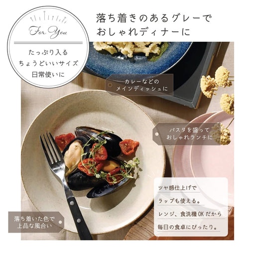 Aito Mino Ware Curry Plate Pasta Plate 21cm Gray Dishwasher/Microwave Safe 517017-Kiichin - The #1 Place for Japanese Goods in Your Hand!