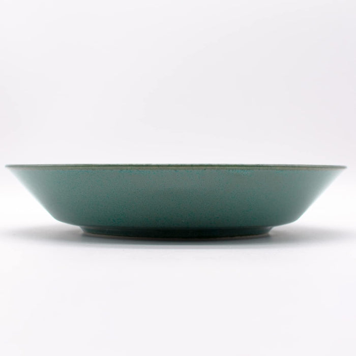 Aito Mino Ware Curry Plate Pasta Plate 21cm Green 517015 Japan DW/MW Safe