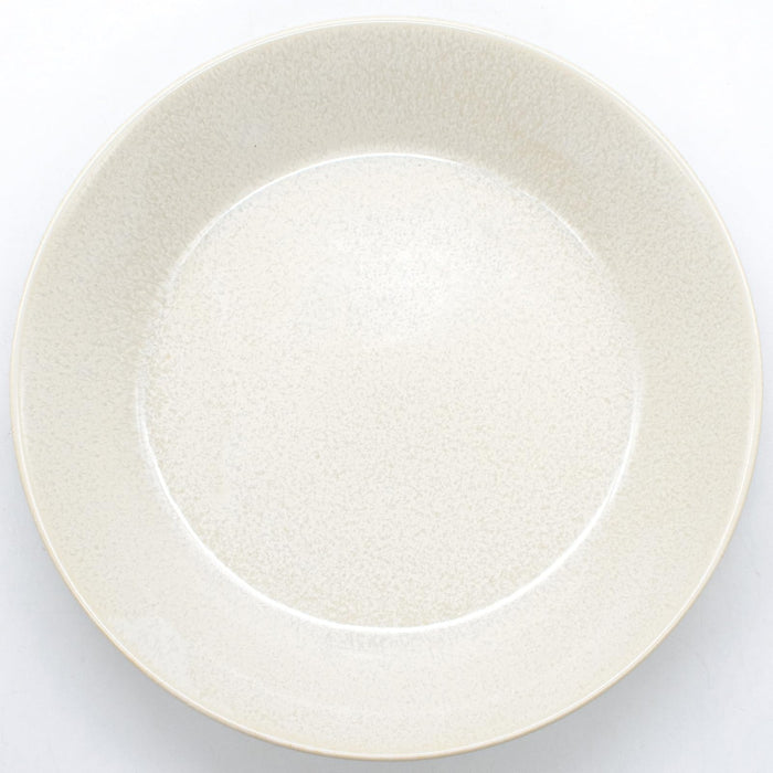 Aito Seisakusho Curry Plate Pasta Plate 21cm Ivory White 517296