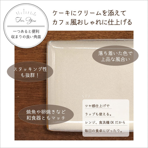 Aito Mino Ware Long Rectangular Plate 21x13cm Gray 517305 Dishwasher/Microwave Safe-Kiichin - The #1 Place for Japanese Goods in Your Hand!