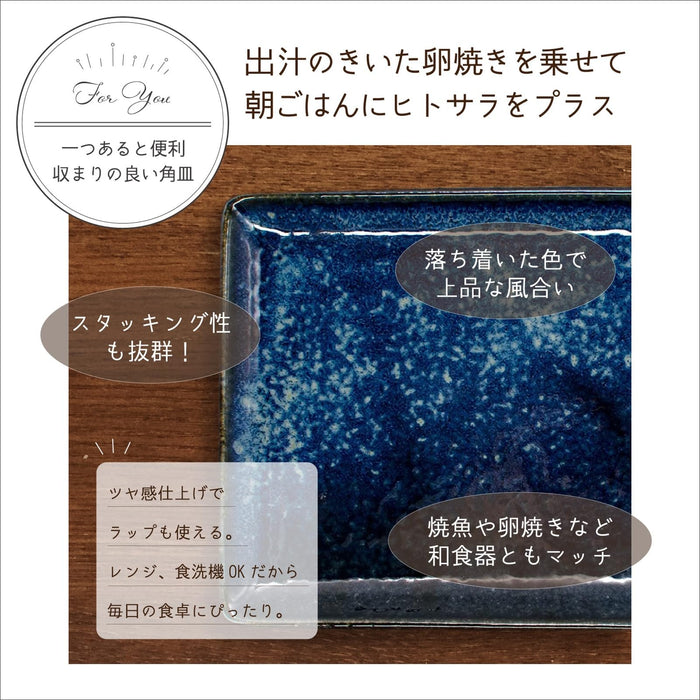 Aito Natural Color Long Plate 21x13cm Navy Blue Mino Ware 517303-Kiichin - The #1 Place for Japanese Goods in Your Hand!