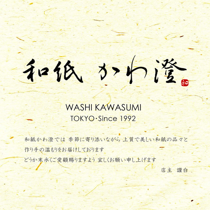 Washi Kawasumi 手染櫻桃圖案 Chiyogami Yuzen Washi B4 - 10 種圖案