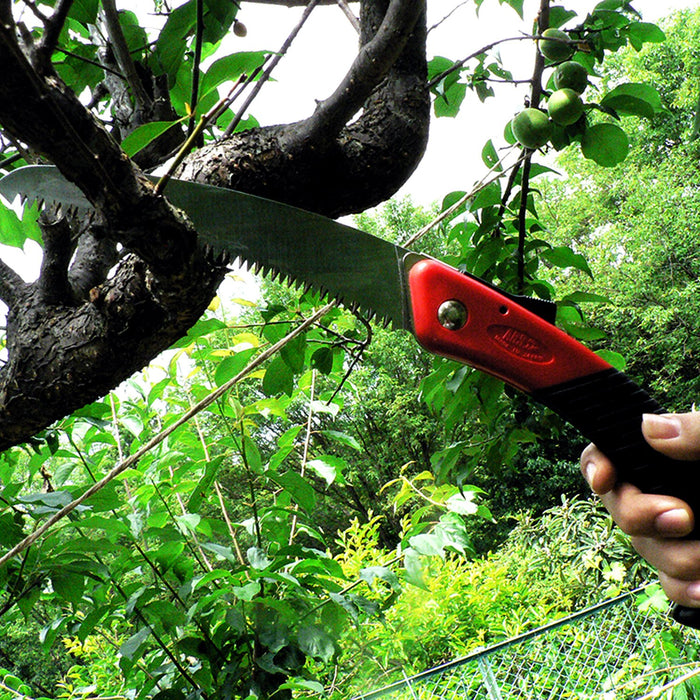 Ars Curve Saw Gr-17 Replaceable Saw Blade Type For Pruning Live Trees