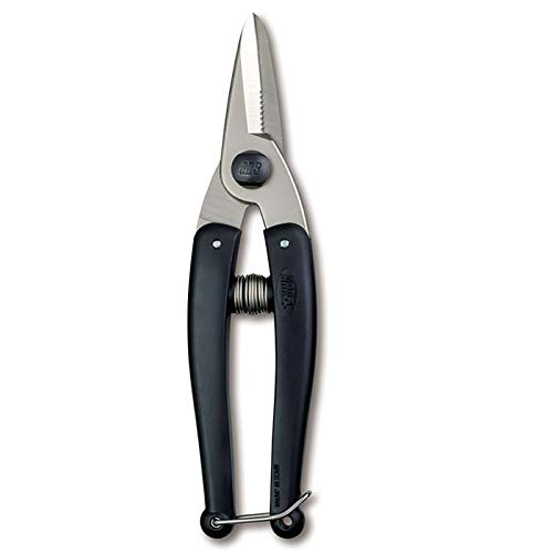 Ars Corporation Multipurpose Scissors Kg-Qt-14 17.5x1.5x6cm-Kiichin - The #1 Place for Japanese Goods in Your Hand!