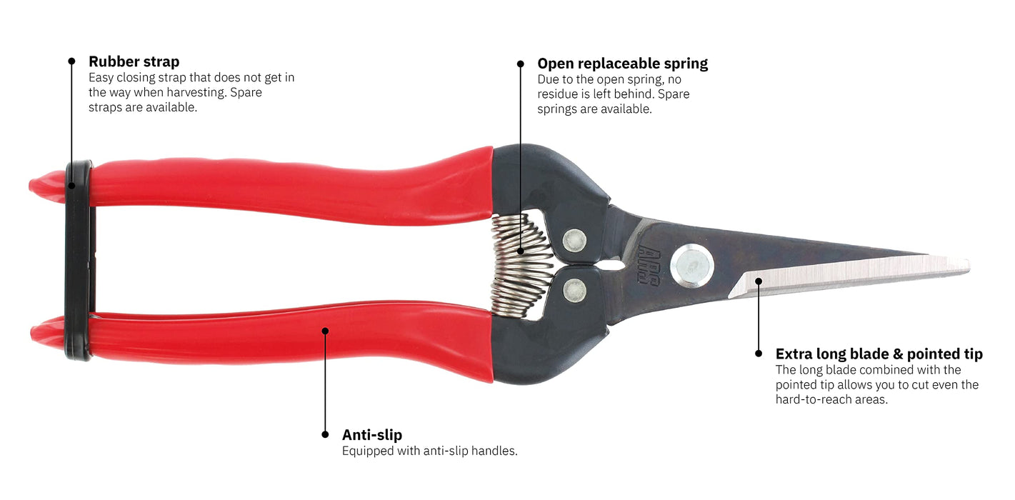 Ars Corp Fruit Thinning Shears L 300L (Boxed)