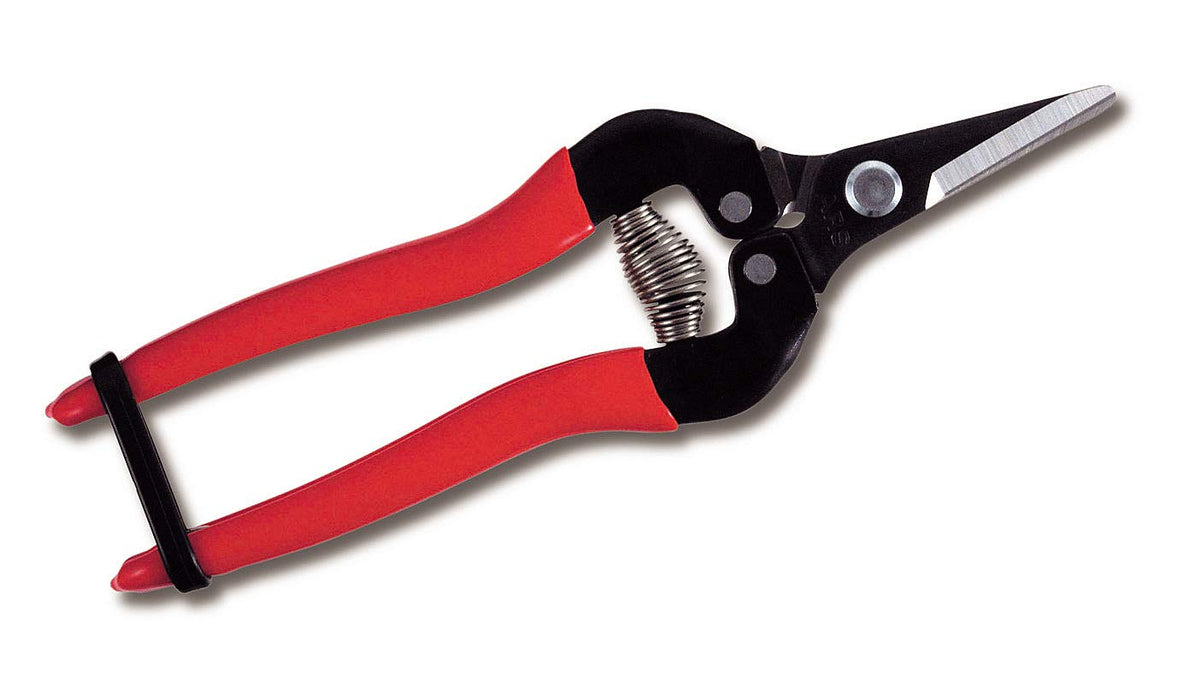 Ars Corp Fruit Thinning Shears S 300S Boxed