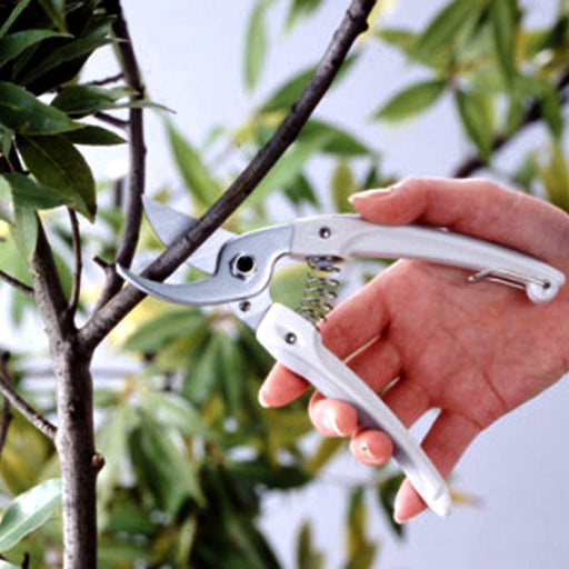 Ars Corporation Mini Choki Deluxe Violet 130Dx-V-Kiichin - The #1 Place for Japanese Goods in Your Hand!