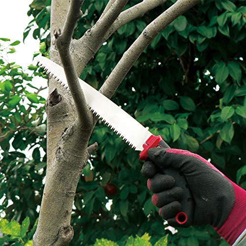 Ars SG-24 24 Fruit Tree Pruning Saw