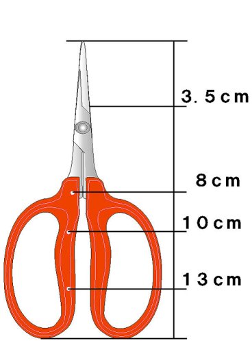 Chikamasa B-500S Stainless Steel Grape Shears