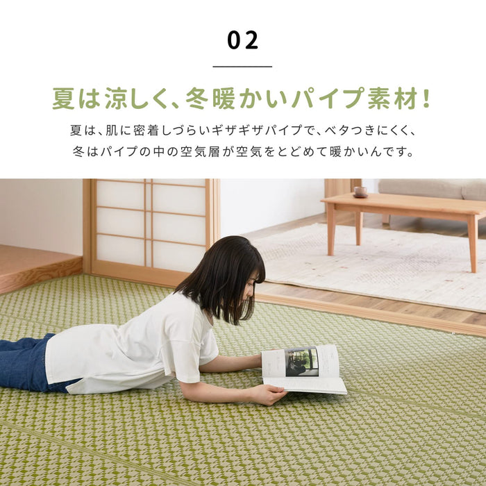 Hagihara Brown Edoma Lewis Flower Rug - Japanese Modern Pet Protection - 2 Tatami Mats - 174X174Cm