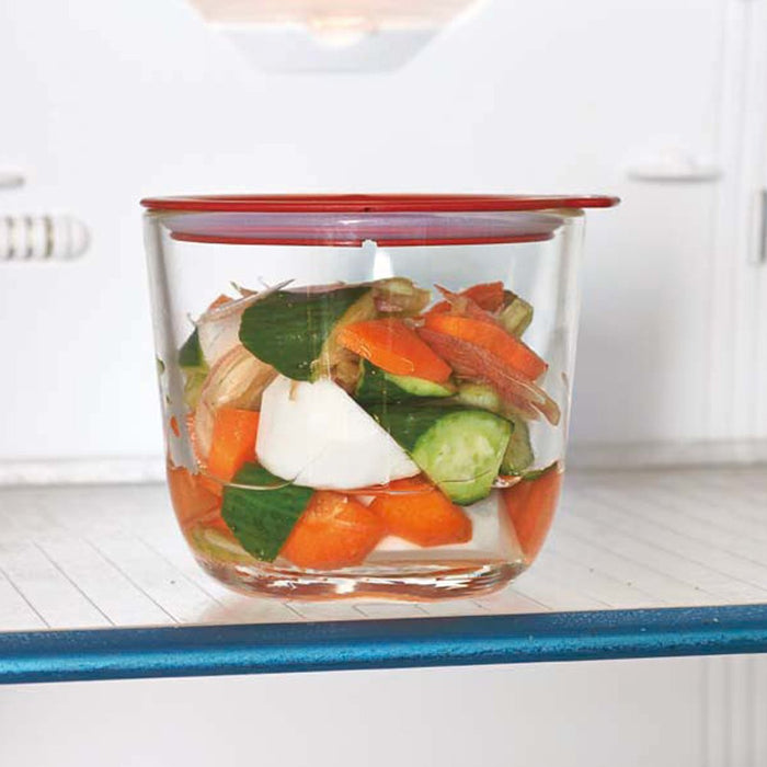 Hario Glass Overnight Pickle Container GTK-S-OW