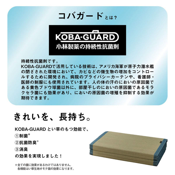 Ikehiko Corporation Antibacterial Deodorizing Rush Clear Mat 80X180Cm - Japan's #1 Choice