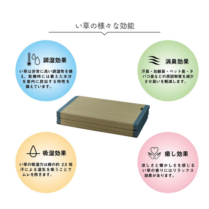 Ikehiko Corporation Antibacterial Deodorizing Rush Clear Mat 80X180Cm - Japan's #1 Choice