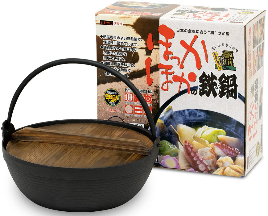 Ikenaga Iron Works 24Cm Tekko Iron Pot with Wooden Lid - IH Compatible for 2-3 People