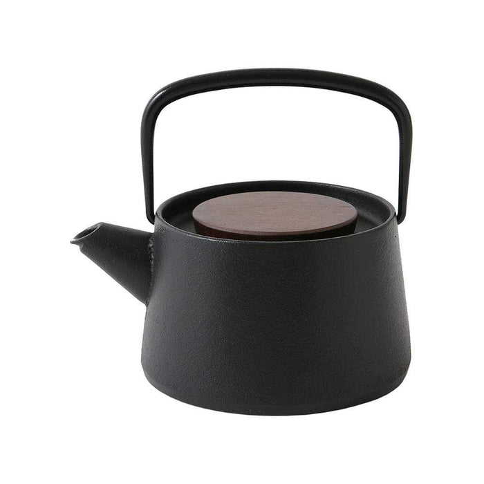 Ikenaga Tetu Nambu Cast Iron Teapot - Authentic Tetsukyusu for Tea Lovers