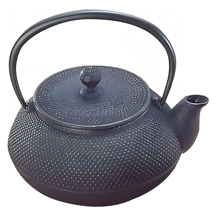 Iwachu Nambu Cast Iron Teapot Arare 650Ml - Authentic Japanese Tea Kettle