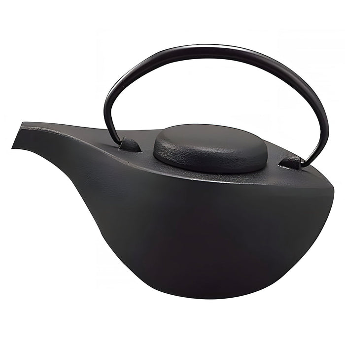 Iwachu Nambu Cast Iron Teapot - Hikifune Black