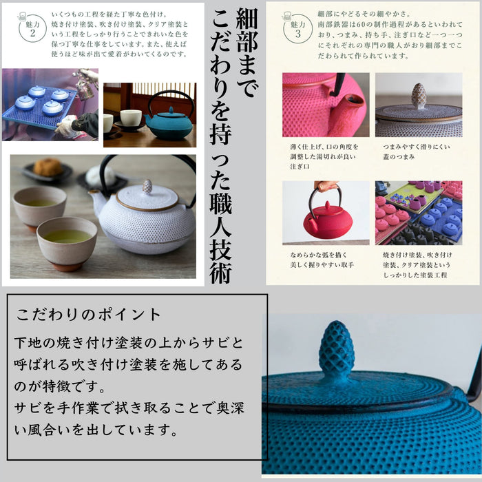 Nambu Ironware Teapot - 0.6L Black Enameled Tea Pot with Strainer