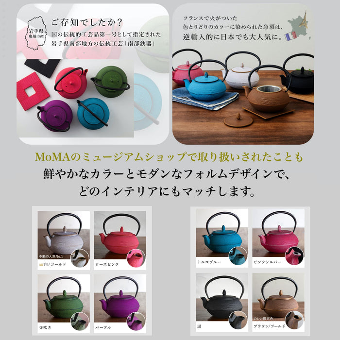 Nambu Ironware Teapot - 0.6L Black Enameled Tea Pot with Strainer