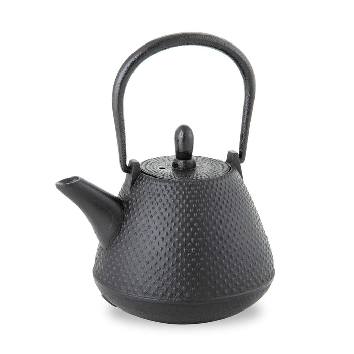 Nambu Tekki Teapot 0.4L - Black Black Enameled Inside Tea Strainer Traditional Crafts Japanese Tea Pot Souvenir