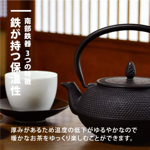 Nambu Tekki Teapot 0.4L - Black Black Enameled Inside Tea Strainer Traditional Crafts Japanese Tea Pot Souvenir