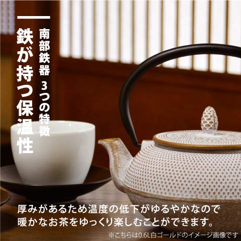 Nambu Tekki Teapot 0.4L Japan - Purple Dome - Inclusive Tea Strainer-Kiichin - The #1 Place for Japanese Goods in Your Hand!