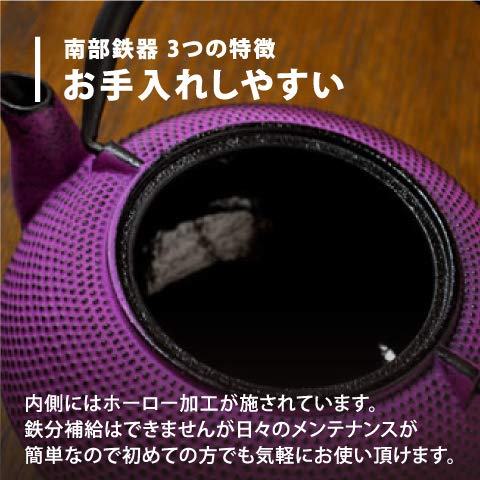 Nambu Tekki Teapot 0.4L Japan - Purple Dome - Inclusive Tea Strainer-Kiichin - The #1 Place for Japanese Goods in Your Hand!