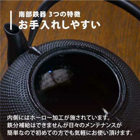 Nanbu Tekki Teapot 0.4L Brown Japan Tea Pot with Strainer