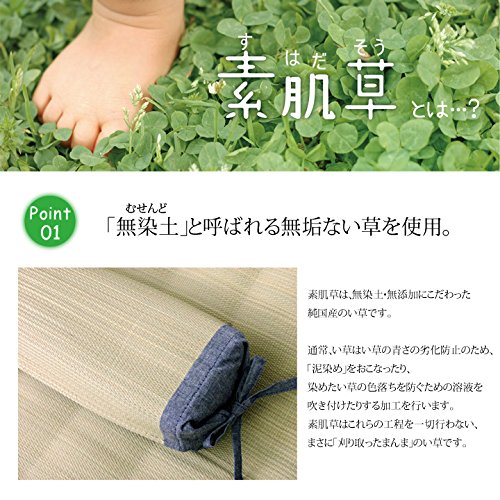 Ikehiko Corporation Bare Skin Grass Square Pillow 30X15Cm - Japanese Rush Grass Pillow