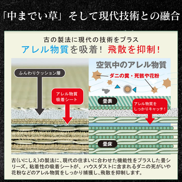 Ooshimaya 日本榻榻米 Igusa 4 件組 - 82x82x1.5cm