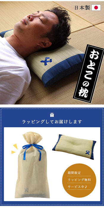 Ikehiko Corp Japan Rush Memory Foam Pillow - Men's Comfort in Compact Size