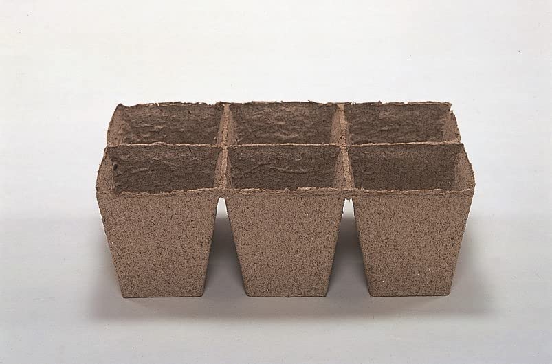 Sakata Seeds Eco Pot Plant Jiffy Strip 8Cm - 6/4Pcs-Kiichin - The #1 Place for Japanese Goods in Your Hand!