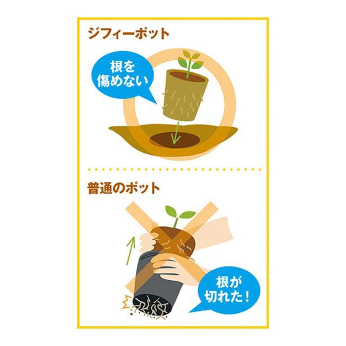 Sakata Seeds 生态盆栽可种植圆形 5.5 厘米 x 40 件 - 日本制造