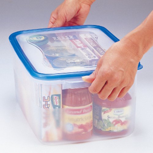 8L Clear Blue Storage Container by Squirrel - Made in Japan, Wj-3 with Antibacterial Treatment