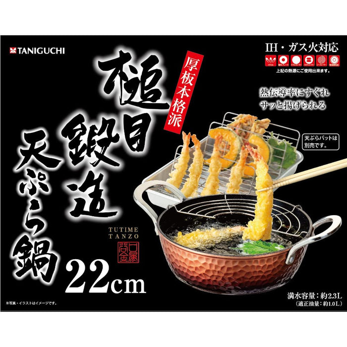 22cm Taniguchi-Metal Japan IH Tempura Pan