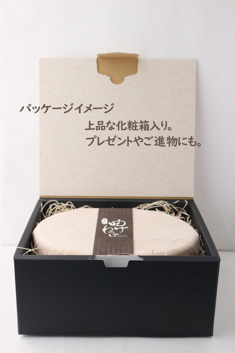 Ruozhao Wakacho Magewappa Oval Natural Lunch Box - Authentic Japanese Craftsmanship